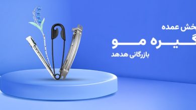 گیره مو هدهد